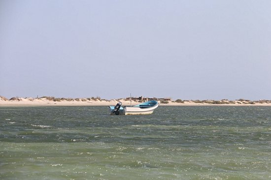 Bar al Hikman