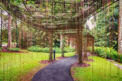 Jardin botanique de Singapour