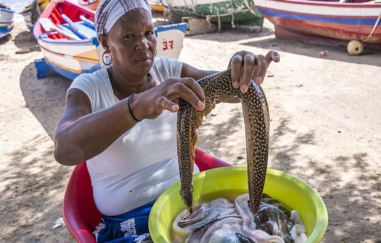 Vente du poisson sur l'île de Santiago
