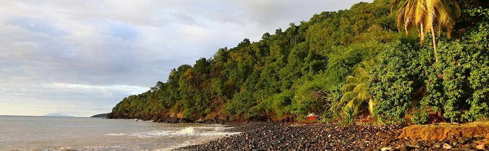 Plage Caraïbe, Pointe-Noire