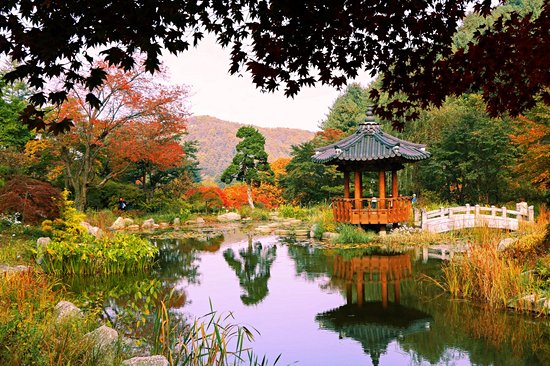 Jardin du matin calme