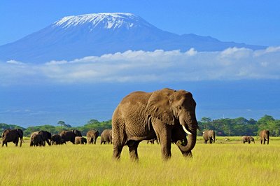 Amboseli