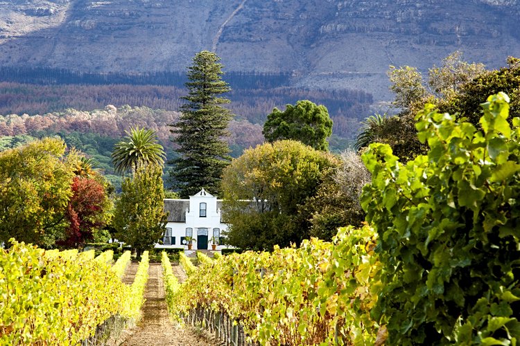 Route des vins du Cap - Afrique du Sud