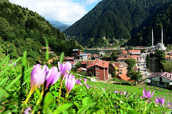 Trabzon