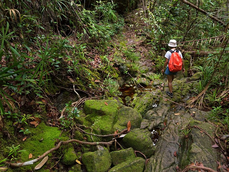 Parc national de Bako