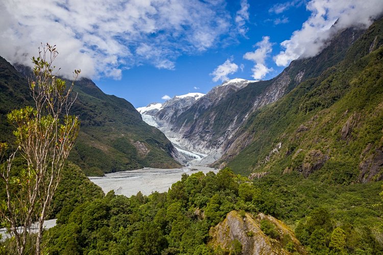 Fox Glacier et Franz Josef Glacier