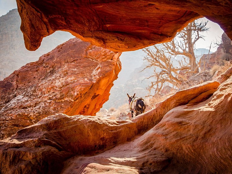Les randonnées pédestres dans le Wadi Rum