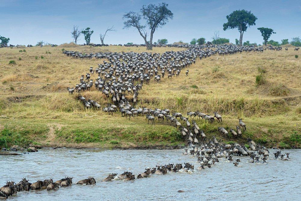 Tanzanie au mois de  juillet