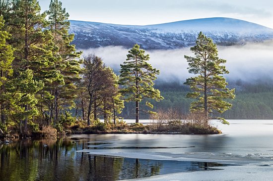 Cairngorms