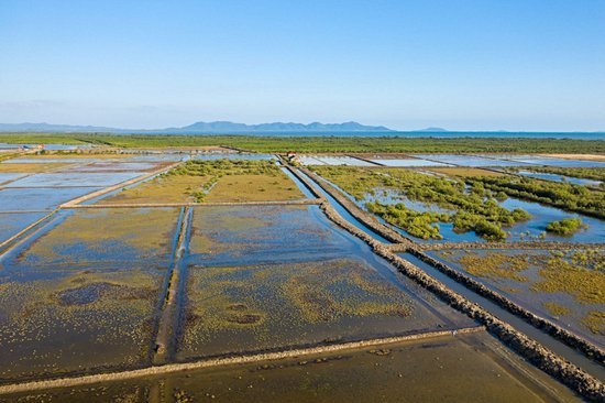 Les marais salants de Kampot
