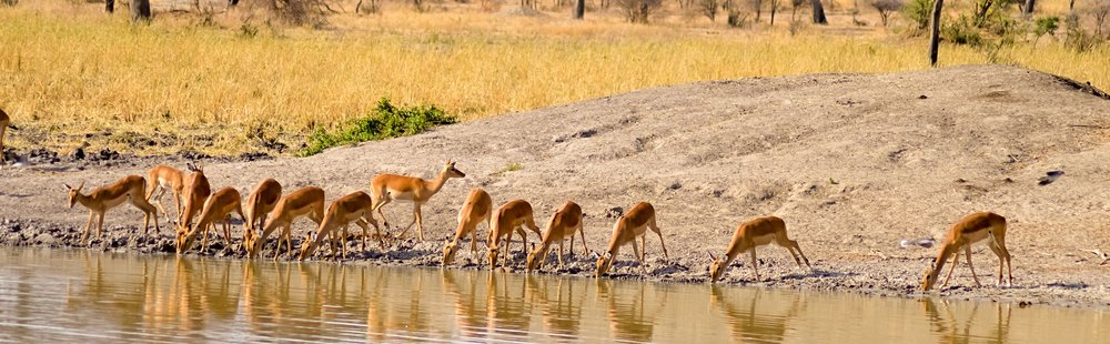 Parc national de Tarangire