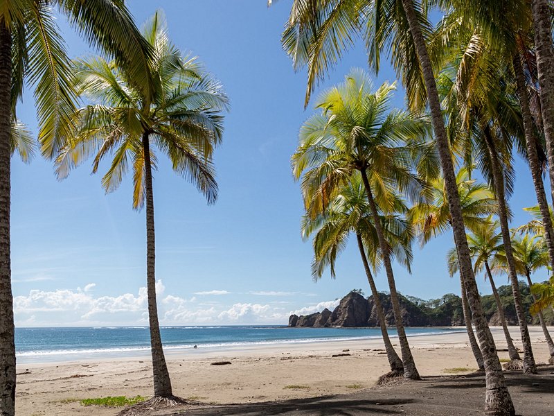 Tendance absolue : Tamarindo