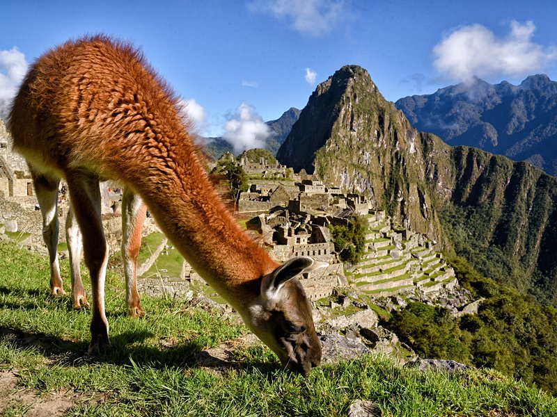 Cuzco