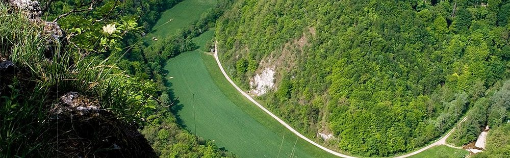 Parc régional de Kozjanski