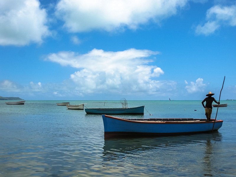 Île aux Aigrettes