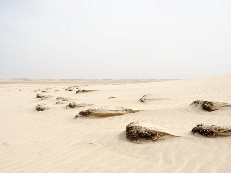 Dune Blanche