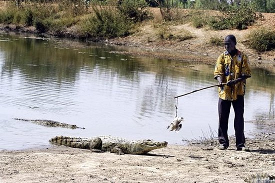 Vénérer les crocodiles à Basoulé et Sabou