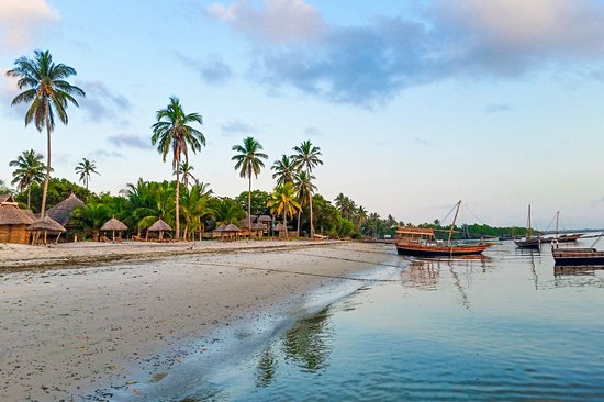 Les plages de Mafia Island