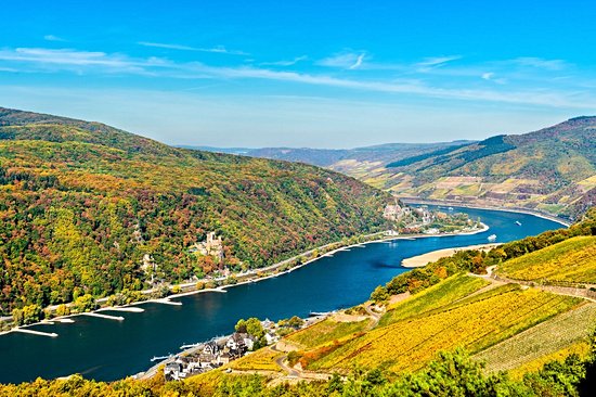 La rando romantique : le méandre de l’or du Rhin