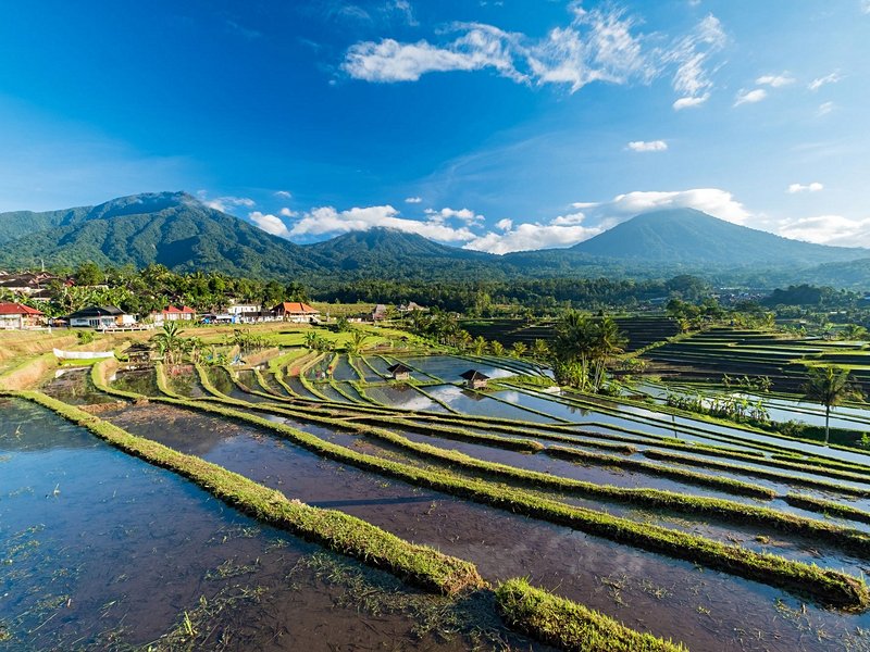 Jatiluwih (Bali)