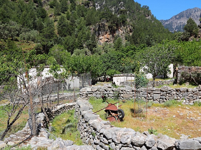 Ancien village de Samaria