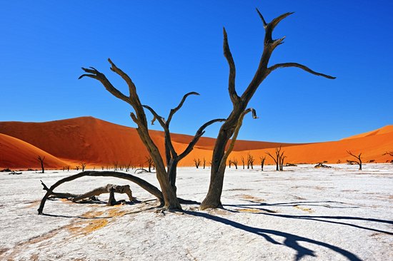 Parc national de Namib-Naukluft