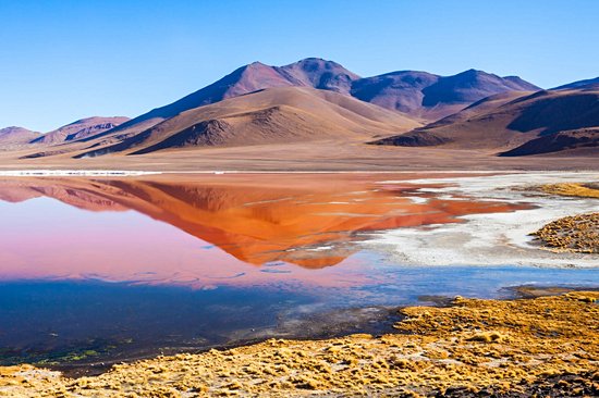 Laguna Colorada