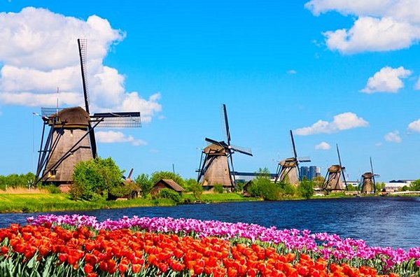Admirer les moulins de Kinderdijk