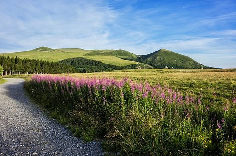 Découvrir les paysages à vélo et tenter d'autres concepts