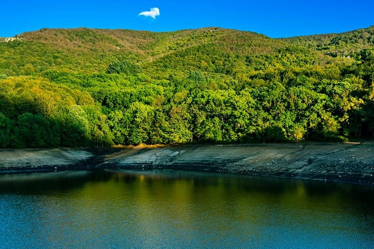 Le parc naturel de Montseny