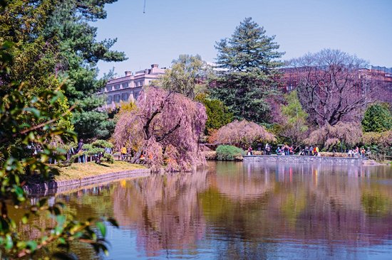 Jardin botanique de Brooklyn
