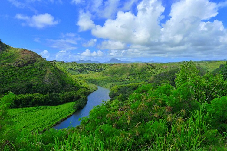 Wailua River - Kauai 2