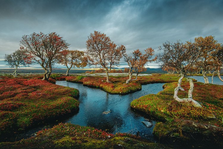 Norvège 4