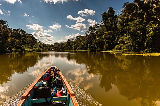 Amazonie