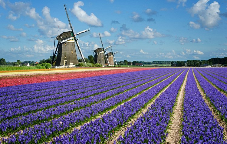 Pays-bas 4