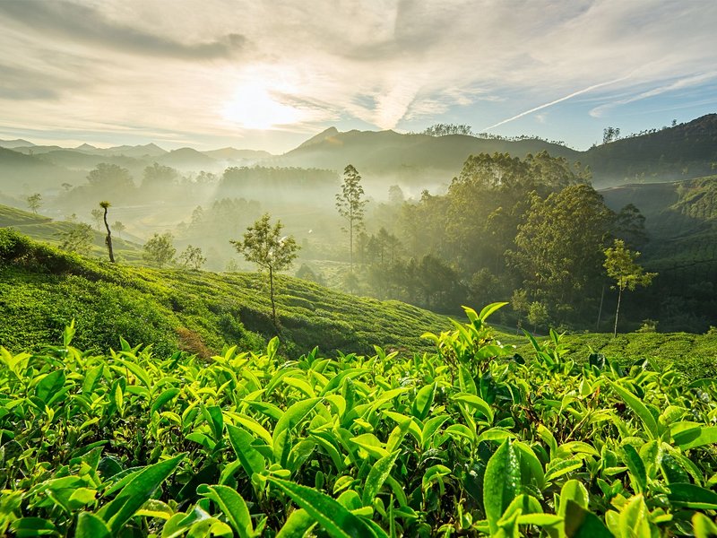 Darjeeling