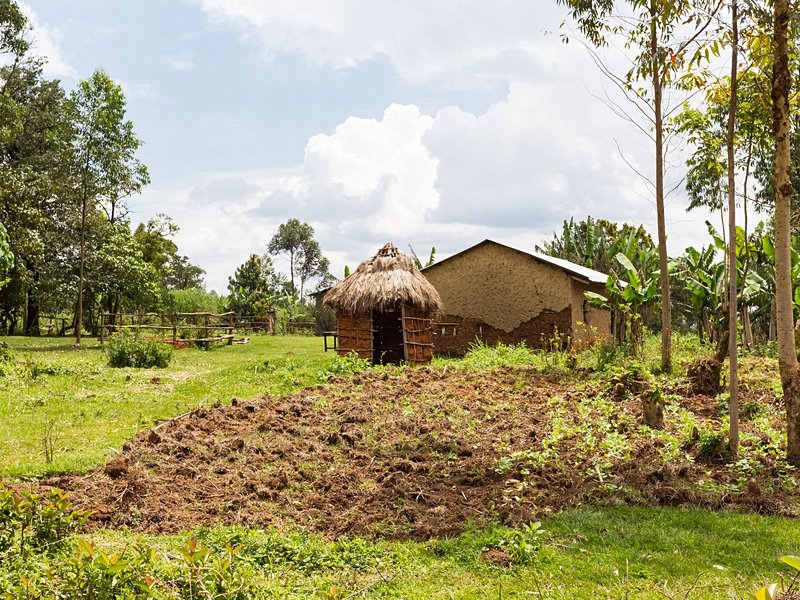 La forêt de Kakamega