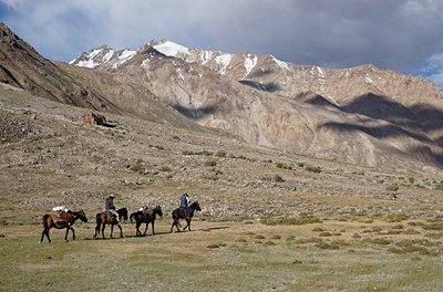 Balade à cheval
