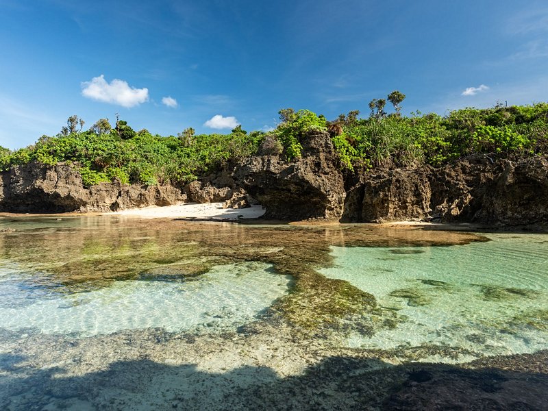 L’île Iriomote dans la préfecture d’Okinawa