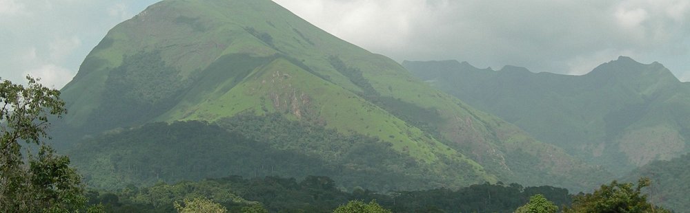 La réserve naturelle du mont Nimba