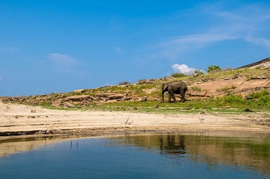 Parc national de Gal Oya