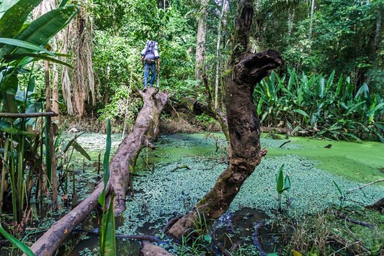 Parc national Madidi