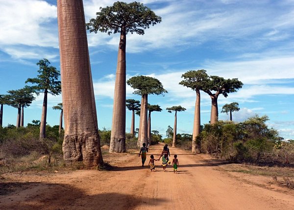 randonnee Madagascar