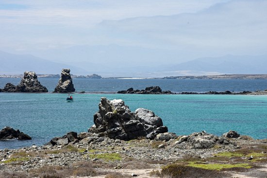 Punta Choros
