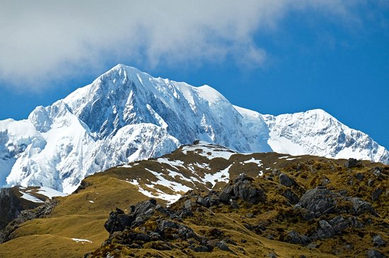 Fox Glacier
