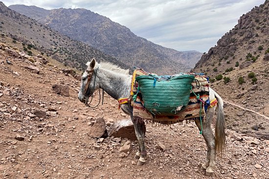 Djebel Toubkal