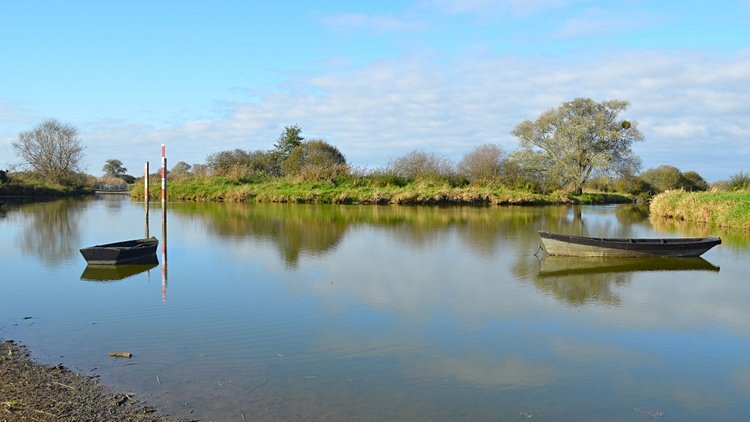 Le lac de Grand-Lieu   