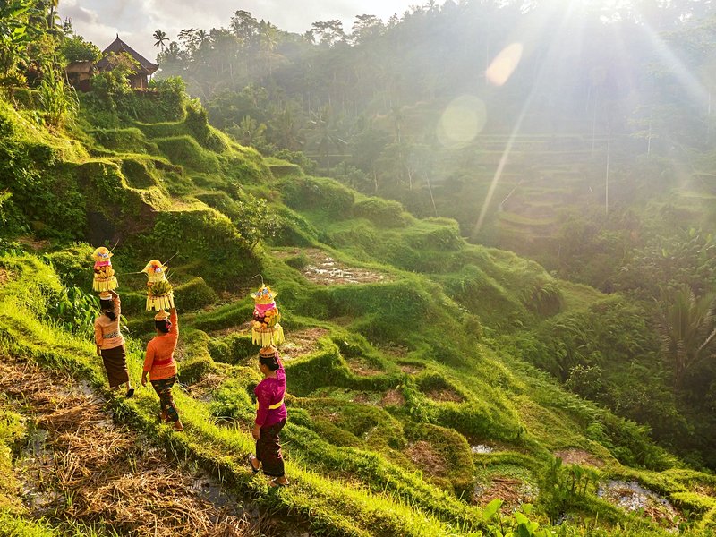 Bali