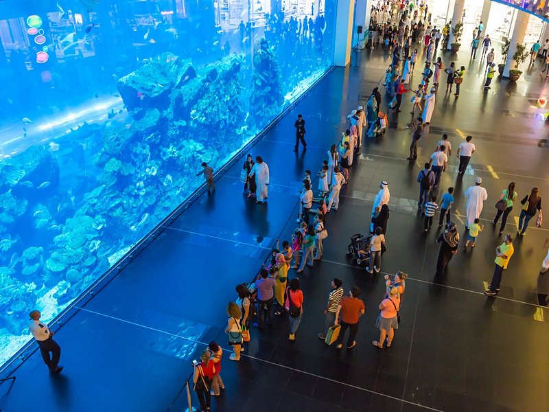L'Aquarium et l'Underwater Zoo