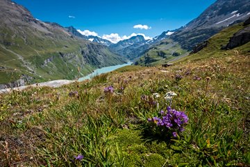 Lac de Mauvoisin